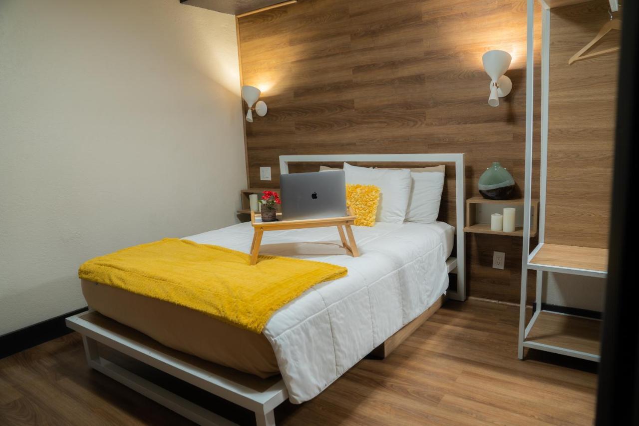 Amsterdam Hostal *